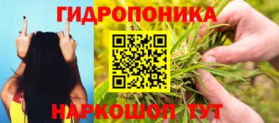 ALPHA PVP Будённовск
